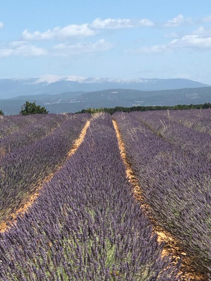 Provence Luberon Bonnieux Location Gite Chez Basile Εξωτερικό φωτογραφία